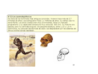 Origen de la vida sobre la tierra