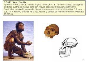 Origen de la vida sobre la tierra