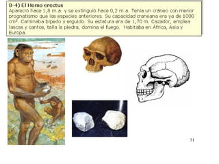 Origen de la vida sobre la tierra