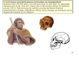 Origen de la vida sobre la tierra