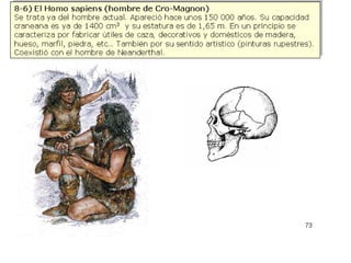 Origen de la vida sobre la tierra