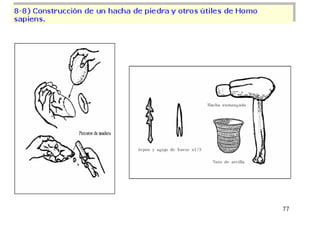 Origen de la vida sobre la tierra