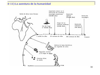 Origen de la vida sobre la tierra