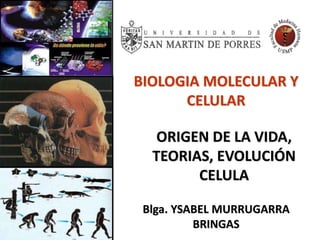 BIOLOGIA MOLECULAR Y
CELULAR
ORIGEN DE LA VIDA,
TEORIAS, EVOLUCIÓN
CELULA
Blga. YSABEL MURRUGARRA
BRINGAS
 
