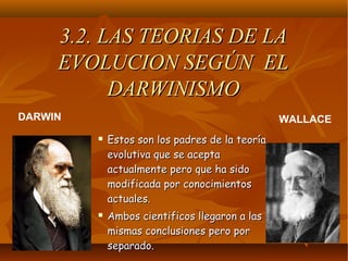  Estos son los padres de la teoríaEstos son los padres de la teoría
evolutiva que se aceptaevolutiva que se acepta
actualmente pero que ha sidoactualmente pero que ha sido
modificada por conocimientosmodificada por conocimientos
actuales.actuales.
 Ambos cientificos llegaron a lasAmbos cientificos llegaron a las
mismas conclusiones pero pormismas conclusiones pero por
separado.separado.
DARWIN WALLACE
3.2. LAS TEORIAS DE LA3.2. LAS TEORIAS DE LA
EVOLUCION SEGÚN ELEVOLUCION SEGÚN EL
DARWINISMODARWINISMO
 
