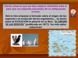Darwin observó que las islas estaban AISLADAS entre sí,
pero que sus especies provenían de un antepasado
común.
Esto le hizo empezar a formular sobre el origen de las
especies y la evolución de los organismos… Su teoría
sobre la EVOLUCIÓN la plasmó en su libro: “EL ORIGEN
DE LAS ESPECIES” (publicado en 1871): ‘los más aptos
sobreviven’
 