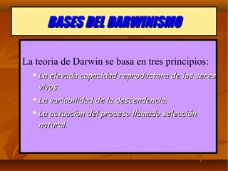 BASES DEL DARWINISMOBASES DEL DARWINISMO
La teoria de Darwin se basa en tres principios:
 La elevada capacidad reproductora de los seresLa elevada capacidad reproductora de los seres
vivos.vivos.
 La variabilidad de la descendencia.La variabilidad de la descendencia.
 La actuacion del proceso llamado selecciónLa actuacion del proceso llamado selección
natural.natural.
 