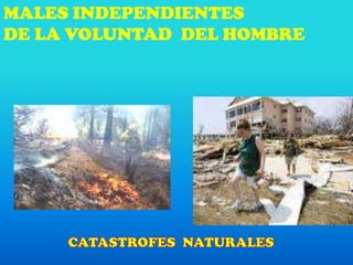 MALES INDEPENDIENTES
DE LA VOLUNTAD DEL HOMBRE
 