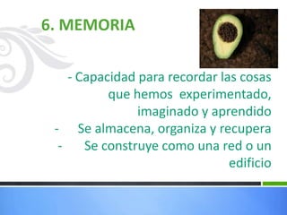 6. MEMORIA
- Capacidad para recordar las cosas
que hemos experimentado,
imaginado y aprendido
- Se almacena, organiza y recupera
- Se construye como una red o un
edificio
 