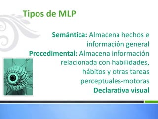 Tipos de MLP
Semántica: Almacena hechos e
información general
Procedimental: Almacena información
relacionada con habilidades,
hábitos y otras tareas
perceptuales-motoras
Declarativa visual
 