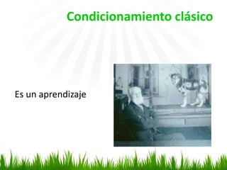 Condicionamiento clásico
Es un aprendizaje
 