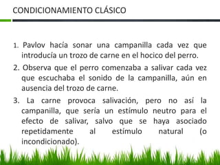 CONDICIONAMIENTO CLÁSICO
1. Pavlov hacía sonar una campanilla cada vez que
introducía un trozo de carne en el hocico del perro.
2. Observa que el perro comenzaba a salivar cada vez
que escuchaba el sonido de la campanilla, aún en
ausencia del trozo de carne.
3. La carne provoca salivación, pero no así la
campanilla, que sería un estímulo neutro para el
efecto de salivar, salvo que se haya asociado
repetidamente al estímulo natural (o
incondicionado).
 