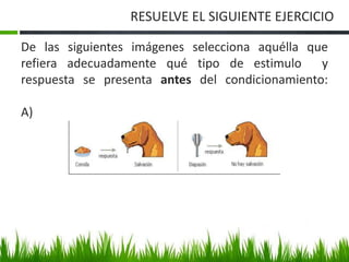 De las siguientes imágenes selecciona aquélla que
refiera adecuadamente qué tipo de estimulo y
respuesta se presenta antes del condicionamiento:
A)
RESUELVE EL SIGUIENTE EJERCICIO
 