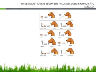 ORDENA LAS FIGURAS SEGÚN LOS PASOS DEL CONDICIONAMIENTO
CLÁSICO:
 