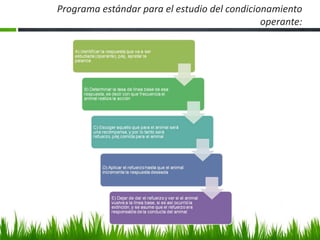 Programa estándar para el estudio del condicionamiento
operante:
 
