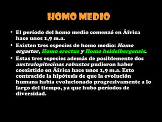 Homo medio
• El período del homo medio comenzó en África
hace unos 1,9 m.a.
• Existen tres especies de homo medio: Homo
ergaster, Homo erectus y Homo heidelbergensis.
• Estas tres especies además de posiblemente dos
australopitecinos robustos pudieron haber
coexistido en África hace unos 1,9 m.a. Esto
contracide la hipótesis de que la evolución
humana había evolucionado progresivamente a lo
largo del tiempo, ya que hubo períodos de
diversidad.
 