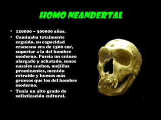 Homo Neandertal
• 120000 – 300000 años.
• Caminaba totalmente
erguido, su capacidad
craneana era de 1500 cm3
,
superior a la del hombre
moderno. Poseía un cráneo
alargado y achatado, senos
nasales anchos, mejillas
prominentes, mentón
retraído y huesos más
gruesos que los del hombre
moderno.
• Tenía un alto grado de
sofisticación cultural.
 