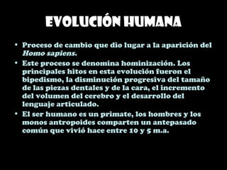 Evolución humana
• Proceso de cambio que dio lugar a la aparición del
Homo sapiens.
• Este proceso se denomina hominización. Los
principales hitos en esta evolución fueron el
bipedismo, la disminución progresiva del tamaño
de las piezas dentales y de la cara, el incremento
del volumen del cerebro y el desarrollo del
lenguaje articulado.
• El ser humano es un primate, los hombres y los
monos antropoides comparten un antepasado
común que vivió hace entre 10 y 5 m.a.
 