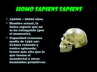Homo sapiens sapiens
• 130000 – 90000 años.
• Hombre actual, la
única especie que no
se ha extinguido (por
el momento).
• Capacidad craneana
media de 1350 cm3
.
Cráneo redondo y
rostro aplanado,
frente más alta que la
que tenían el
neandertal y otros
homínidos primitivos.
 