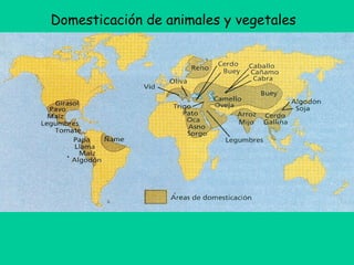 Domesticación de animales y vegetales
 