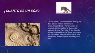 ¿CUÁNTO ES UN EÓN?
• Un eón tiene 1.000 millones de años y hay
dos, los que hemos mencionado
antes, Precámbrico y Fanerozoico. El
segundo comienza tras la división del
supercontinente Pannotia. Antes de este
eón ya existía vida en la Tierra, aunque no
tan compleja y diversificada como la que
empezaría a desarrollarse en el segundo
eón.
 
