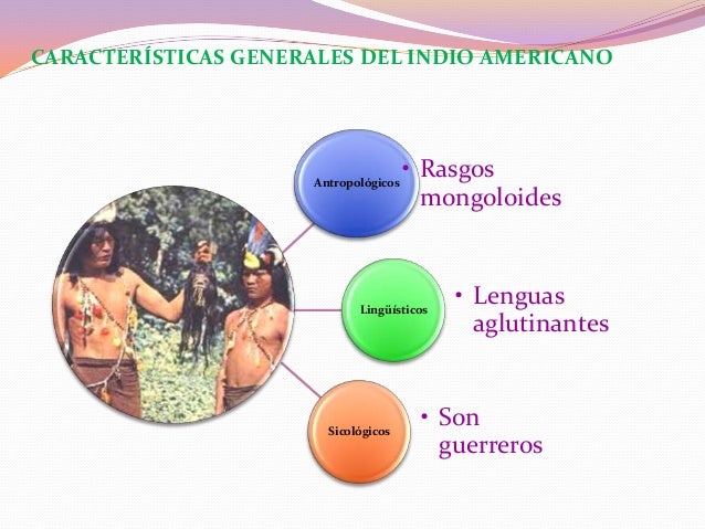 Origen Del Hombre Panameño Grupo N 1 I P S J D A