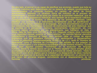De otro lado, el animal no es capaz de planificar sus acciones, puesto que toda su
conducta instintiva está determinada por su sistema de reflejos condicionados e
incondicionados. La conducta humana, en cambio, se define de forma
absolutamente diferente. La situación típica del individuo es el proceso de
planteamiento y solución de tal tarea por medio de la actividad intelectual, que se
vale no sólo de la experiencia individual, sino también de la experiencia colectiva.
Consiguientemente, el hombre, a diferencia de los animales inferiores, sabe
planificar sus acciones, y el instrumento fundamental para tal planificación y
solución de las tareas mentales es el lenguaje. Aquí nos encontramos con una de
sus funciones más elementales: la función de instrumento del acto intelectual, que
se expresa en la percepción, memoria, razonamiento, imaginación, etc. Los
primeros signos articulados por los pitecántropos, que habitaron en Asia y
Africa, data de hace unos 600.000 a. de J.C. Después vinieron otros homínidos
cuya capacidad craneal, superior al "Homo erectus", les permitió fabricar utensilios
rudimentarios y descubrir el fuego, pero también idear un código de signos
lingüísticos que les permitiera comunicar sus sentimientos y pensamientos.
Durante el paleolítico (aproximadamente 35.000 a. de J.C.), tanto el "Hombre de
Neandertal" como el "Hombre de Cro-Magnon" dan señales de que poseían un
idioma comunicativo y una anatomía equiparable a la del hombre moderno. Quizás
éstos sean algunos posibles "momentos" en la evolución del lenguaje
humano, desde la remota época en que el "Homo sapiens" hacía simples gestos
acompañados de gritos o interjecciones -a la manera de ciertos animales-, hasta la
descripción oral de los objetos que le rodeaban y la designación de ideas mediante
sonidos que suponían el aumento de la capacidad de abstracción; un periodo en el
que nacen las primeras lenguas, coincidiendo con el desplazamiento de los
hombres                                                                  primitivos.
 
