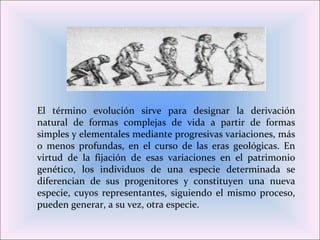El término evolución sirve para designar la derivación
natural de formas complejas de vida a partir de formas
simples y elementales mediante progresivas variaciones, más
o menos profundas, en el curso de las eras geológicas. En
virtud de la fijación de esas variaciones en el patrimonio
genético, los individuos de una especie determinada se
diferencian de sus progenitores y constituyen una nueva
especie, cuyos representantes, siguiendo el mismo proceso,
pueden generar, a su vez, otra especie.
 