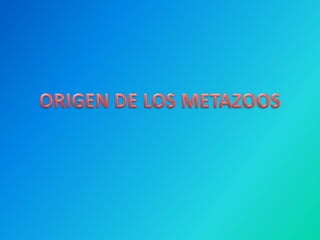 ORIGEN DE LOS METAZOOS 