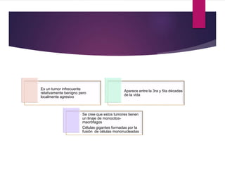 Es un tumor infrecuente
relativamente benigno pero
localmente agresivo
Aparece entre la 3ra y 5ta décadas
de la vida
Se cree que estos tumores tienen
un linaje de monocitos-
macrófagos
Células gigantes formadas por la
fusión de células mononucleadas
 
