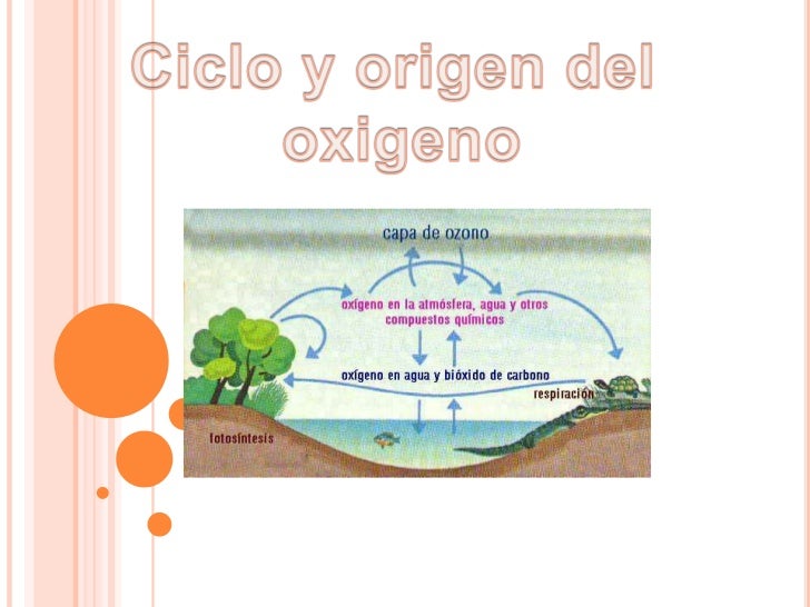 Origen del oxigeno