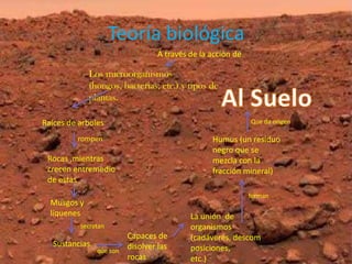 Teoría biológica
                                   A través de la acción de

             Los microorganismos
             (hongos, bacterias, etc.) y tipos de
             plantas.

Raíces de arboles                                             Que da origen

         rompen                                   Humus (un residuo
                                                  negro que se
 Rocas ,mientras                                  mezcla con la
 crecen entremedio                                fracción mineral)
 de estas
                                                              forman
  Musgos y
  líquenes                                  La unión de
          secretan                          organismos
                          Capaces de        (cadáveres, descom
   Sustancias             disolver las      posiciones,
                que son
                          rocas             etc.)
 