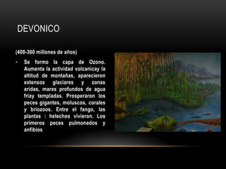 DEVONICO
(408-360 millones de años)
• Se formo la capa de Ozono.
Aumenta la actividad volcanicay la
altitud de montañas, aparecieron
extensos glaciares y zonas
aridas, mares profundos de agua
friay templadas. Prosperaron los
peces gigantes, moluscos, corales
y briozoos. Entre el fango, las
plantas : helechos vivieron. Los
primeros peces pulmonados y
anfibios
 
