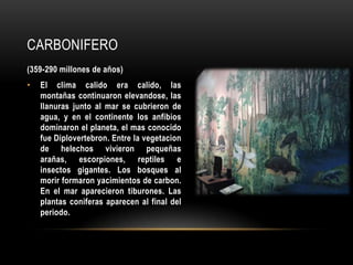 CARBONIFERO
(359-290 millones de años)
• El clima calido era calido, las
montañas continuaron elevandose, las
llanuras junto al mar se cubrieron de
agua, y en el continente los anfibios
dominaron el planeta, el mas conocido
fue Diplovertebron. Entre la vegetacion
de helechos vivieron pequeñas
arañas, escorpiones, reptiles e
insectos gigantes. Los bosques al
morir formaron yacimientos de carbon.
En el mar aparecieron tiburones. Las
plantas coniferas aparecen al final del
periodo.
 