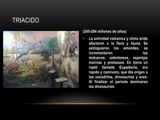 TRIACIDO
(245-204 millones de años)
• La actividad volcanica y clima arido
afectaron a la flora y fauna. Se
extinguieron los amonites, se
incrementaron los
moluscos, celentereos, esponjas
marinas y protozoos. En tierra un
reptil llamado Euparkeria, era
rapido y carnivoro, que dio origen a
los cocodrilos, dinosaurios y aves.
Al finalizar el periodo dominaron
los dinosaurios.
 