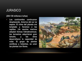 JURASICO
(204-130 millones d años)
• Los continentles continuaron
desplazando. America del sur se
separa. El clima del planeta era
templado y favorece a los
reptiles. Lls saurios marinos
adoptan formas hidrodinamicas;
los terrestres adquirieron gran
tamaño, y los otros
desarrollaron la capacidad de
volar. El grupo de plantas
coniferas y helechos, se unen
las plantas con flores.
 