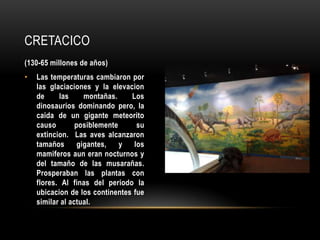 CRETACICO
(130-65 millones de años)
• Las temperaturas cambiaron por
las glaciaciones y la elevacion
de las montañas. Los
dinosaurios dominando pero, la
caida de un gigante meteorito
causo posiblemente su
extincion. Las aves alcanzaron
tamaños gigantes, y los
mamiferos aun eran nocturnos y
del tamaño de las musarañas.
Prosperaban las plantas con
flores. Al finas del periodo la
ubicacion de los continentes fue
similar al actual.
 