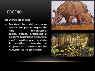 EOCENO
(55-38 millones de años)
• Persiste el clima calido, un paisaje
arboreo con plantas propias del
clima tropicalccubria
Europa, Canada, Groenlandia e
Inglaterra. Sudamerica permanecio
aislado permitiendo el desarrollo
de mamiferos parecidos a
hipopotamos, primates y tambien
retroceden los maresvinteriore.
 