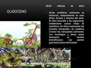 OLIGOCENO
(38-25 millones de años)
• Varias cordilleras culminaron su
formacion, temporalmente se unen
Africa, Eurasia y America del norte.
El clima favorable y las migraciones
establecieron nuevas lineas de
mamiferos. En africa evolucionan los
primates antropoides. En sudafrica
vivieron los marsupiales carnivoros.
Los mucielagos y peces oseos
alcanzaron su maxima
diversificacion. Las plantas
gramineas fueron dominantes.
 