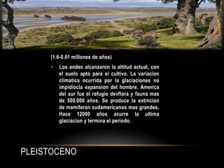 PLEISTOCENO
(1.6-0.01 millones de años)
• Los andes alcanzaron la altitud actual, con
el suelo apto para el cultivo. La variacion
climatica ocurrida por la glaciaciones no
impidiocla expansion del hombre. America
del sur fue el refugio devflora y fauna mas
de 500.000 años. Se produce la extincion
de mamiferon sudamericanos mas grandes.
Hace 12000 años acurre la ultima
glaciacion y termina el periodo.
 