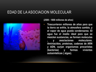EDAD DE LA ASOCIACION MOLECULAR
(2500 - 1800 millones de años)
• Trascurrieron millones de años para que
la tierra se enfrie, la atmosfera cambie, y
el vapor de agua pueda condensarse. El
agua fue el medio ideal para que se
mezclen sustancias, se formen moleculas
, y asociaciones moleculares.
Aminiacidos, proteinas, cadenas de ARN
y ADN, surjan organismos procariotas
(bacterias) y formas vivientes
autosinteticas ( algas).
 