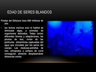 EDAD DE SERES BLANDOS
Finales del Ediacara hace 640 millones de
año
• los lechos marinos eran el habitat de
diminutas algas, y animales de
organismos delicados. Todos tenian
diferentes formas y adaptaciones, las
plumas de mar, vivian de las
particulas alimenticias capturadas del
agua que circulaba por los poros del
cuerpo. Las medusas,estrellas de
mar, artropodos y polipos de coral
conseguian alimento desplazandose
distancias cortas.
 