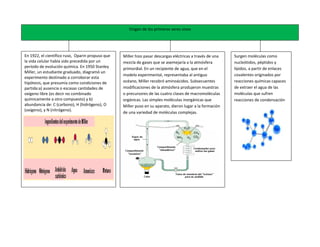 Origen de los primeros seres vivos




En 1922, el científico ruso, Oparin propuso que   Miller hizo pasar descargas eléctricas a través de una   Surgen moléculas como
la vida celular había sido precedida por un       mezcla de gases que se asemejaría a la atmósfera         nucleótidos, péptidos y
período de evolución química. En 1950 Stanley     primordial. En un recipiente de agua, que en el          lípidos, a partir de enlaces
Miller, un estudiante graduado, diagramó un
                                                  modelo experimental, representaba al antiguo             covalentes originados por
experimento destinado a corroborar esta
hipótesis, que presumía como condiciones de       océano, Miller recobró aminoácidos. Subsecuentes         reacciones químicas capaces
partida:a) ausencia o escasas cantidades de       modificaciones de la atmósfera produjeron muestras       de extraer el agua de las
oxígeno libre (es decir no combinado              o precursores de las cuatro clases de macromoléculas     moléculas que sufren
químicamente a otro compuesto) y b)               orgánicas. Las simples moléculas inorgánicas que         reacciones de condensación
abundancia de: C (carbono), H (hidrógeno), O      Miller puso en su aparato, dieron lugar a la formación
(oxígeno), y N (nitrógeno).
                                                  de una variedad de moléculas complejas.
 