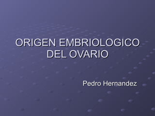 ORIGEN EMBRIOLOGICO DEL OVARIO Pedro Hernandez 