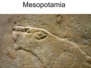 Mesopotamia
 
