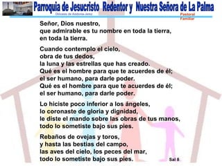 Diócesis de Asidonia-Jerez Pastoral
Familiar
Señor, Dios nuestro,
que admirable es tu nombre en toda la tierra,
en toda la tierra.
Cuando contemplo el cielo,
obra de tus dedos,
la luna y las estrellas que has creado.
Qué es el hombre para que te acuerdes de él;
el ser humano, para darle poder.
Qué es el hombre para que te acuerdes de él;
el ser humano, para darle poder.
Lo hiciste poco inferior a los ángeles,
lo coronaste de gloria y dignidad,
le diste el mando sobre las obras de tus manos,
todo lo sometiste bajo sus pies.
Rebaños de ovejas y toros,
y hasta las bestias del campo,
las aves del cielo, los peces del mar,
todo lo sometiste bajo sus pies. Sal 8
 