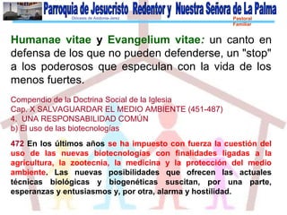 Diócesis de Asidonia-Jerez Pastoral
Familiar
Humanae vitae y Evangelium vitae: un canto en
defensa de los que no pueden defenderse, un "stop"
a los poderosos que especulan con la vida de los
menos fuertes.
Compendio de la Doctrina Social de la Iglesia
Cap. X SALVAGUARDAR EL MEDIO AMBIENTE (451-487)
4. UNA RESPONSABILIDAD COMÚN
b) El uso de las biotecnologías
472 En los últimos años se ha impuesto con fuerza la cuestión del
uso de las nuevas biotecnologías con finalidades ligadas a la
agricultura, la zootecnia, la medicina y la protección del medio
ambiente. Las nuevas posibilidades que ofrecen las actuales
técnicas biológicas y biogenéticas suscitan, por una parte,
esperanzas y entusiasmos y, por otra, alarma y hostilidad.
 
