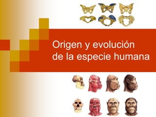 Origen y evolución
de la especie humana
 