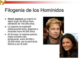Filogenia de los Homínidos
 Homo sapiens se originó en
algún lugar de África hace
alrededor de 150.000 años.
 La especie se expandió
relativamente lento, llegando a
Australia hace 40.000 años.
 En Europa, la especie parece
haber entrado más
lentamente, entre 40.000 y
35.000 años, por la península
ibérica y por el este.
 