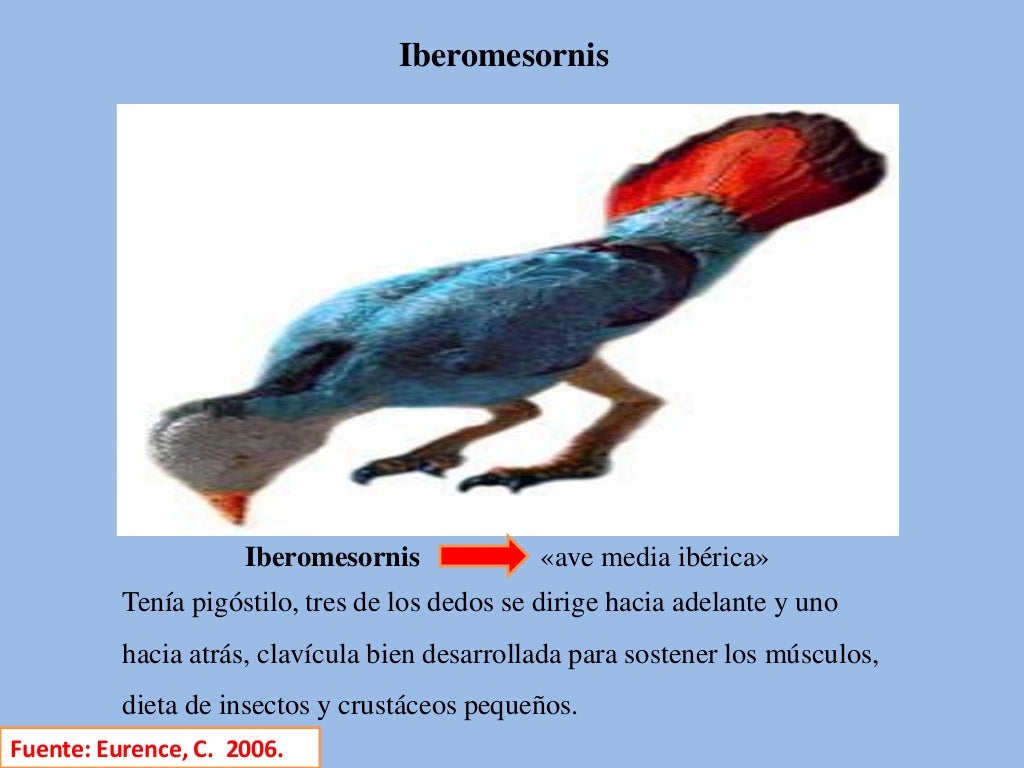 Origen, evolución e historia de la gallina doméstica
